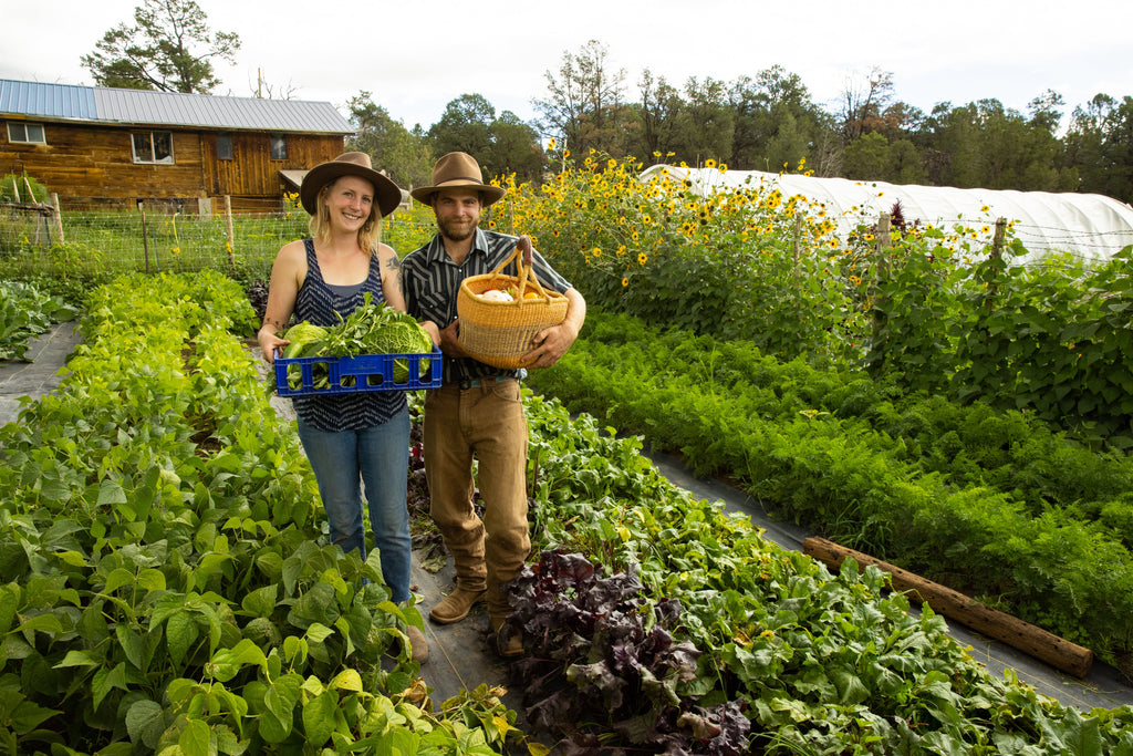 Salty Dog Farm
