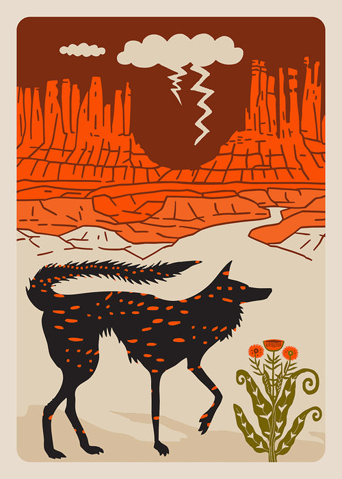 "Coyote Desert" Postcard Designed by Holli Zollinger