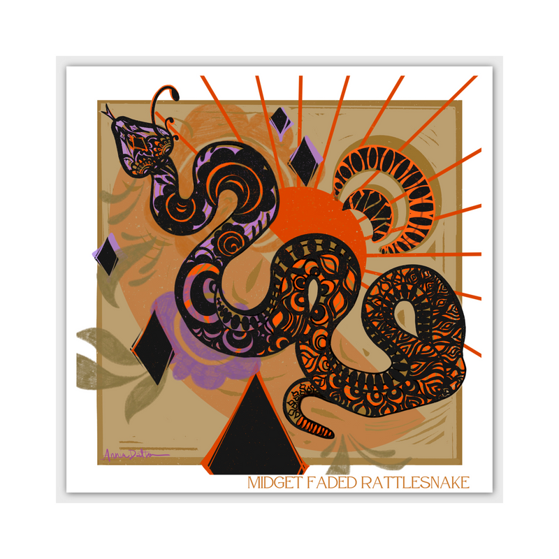 "Midget Faded Rattlesnake" Square Postcard by Desert Edge Design