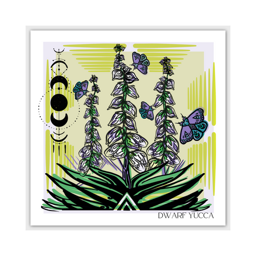 "Dwarf Yucca" Square Postcard by Desert Edge Design