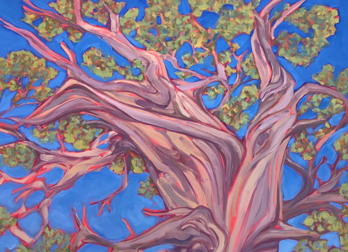 "Under a Juniper Tree" Art Print by Julia Buckwalter