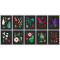 Desert Botanical Set of Cards by Holli Zollinger