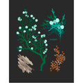 "Juniper" Desert Botanical Card by Holli Zollinger
