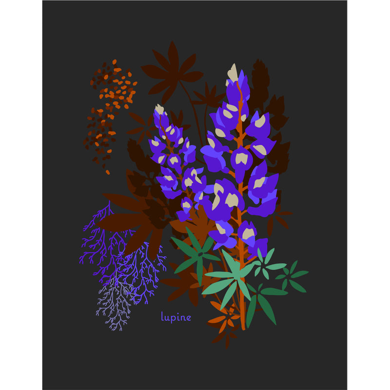 "Lupine" Desert Botanical Card by Holli Zollinger