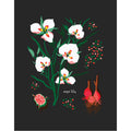"Sego Lily" Desert Botanical Card by Holli Zollinger