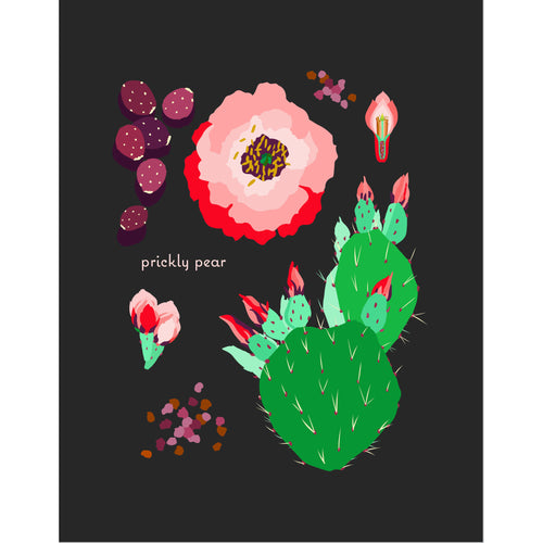 "Prickly Pear" Desert Botanical Card by Holli Zollinger