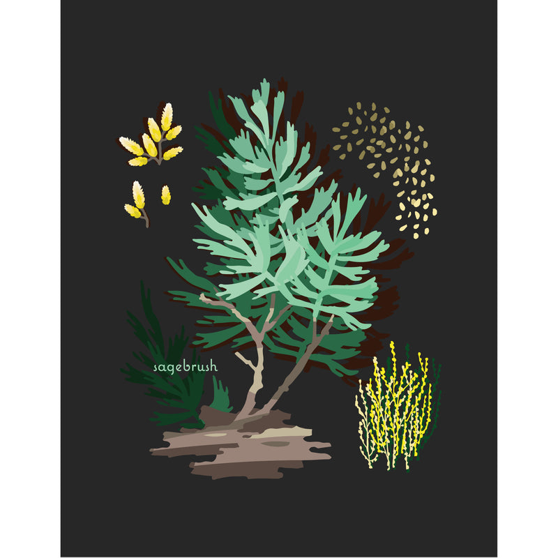 "Sagebrush" Desert Botanical Card by Holli Zollinger