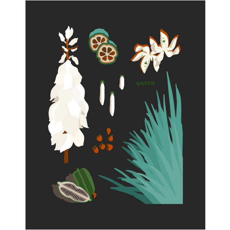 "Yucca" Desert Botanical Card by Holli Zollinger